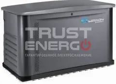 Газовый генератор Mirkon Energy MKG6M с АВР В кожухе Mirkon Energy  trustenergo.ru