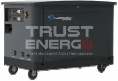 Газовый генератор Mirkon Energy MKG21MF В кожухе Mirkon Energy  trustenergo.ru