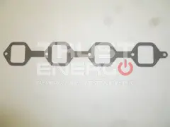 Прокладка впускного коллектора TDQ 38 4L/Intake manifold gasket