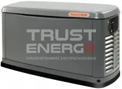 Газовый генератор Honeywell 6280 В кожухе Generac 992 trustenergo.ru
