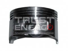 Поршень KG105/Piston ТРАСТ-ЭНЕРГО